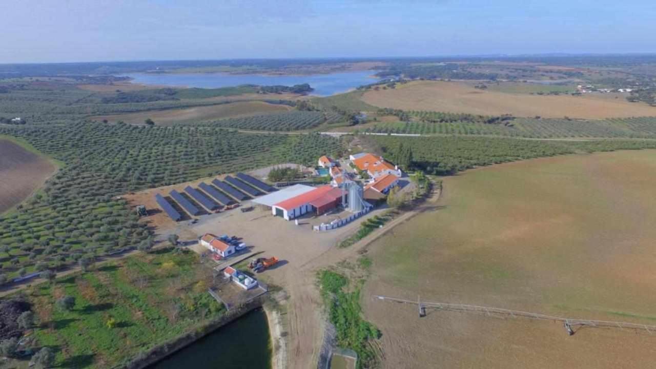 Herdade Da Fonte Ferreira Villa Aviz Eksteriør bilde