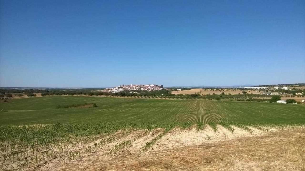 Herdade Da Fonte Ferreira Villa Aviz Eksteriør bilde